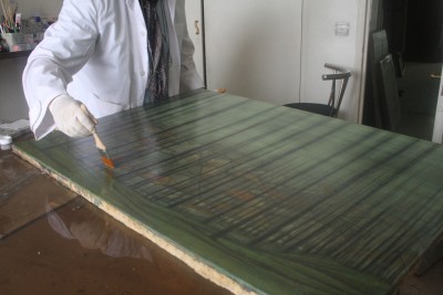 Conservation  challenges today